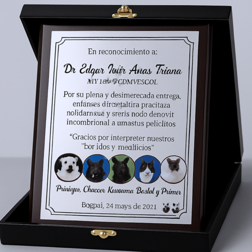 Placas Conmemorativas