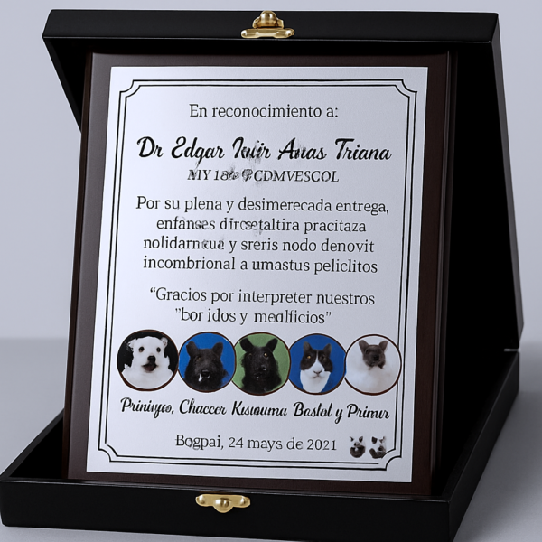 Placas Conmemorativas